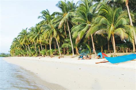 best beach near cebu city